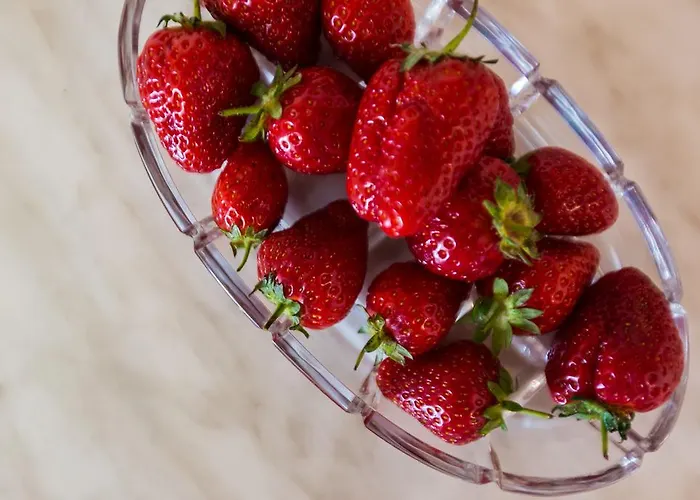 아파트 Angelina Sukošan